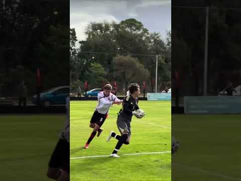 No way the ref CALLED IT 😭