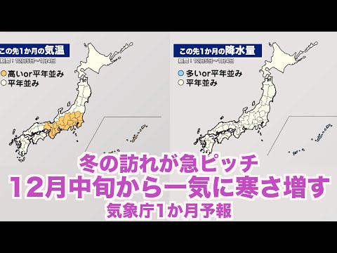 いつ冬のベールをかぶるかを知ることがなぜ重要なのでしょうか?効果はあるのでしょうか？  庭園