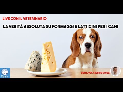 Allen Carrhae siccome è facile da smettere di bere il libro Dove guarire lalcolismo in Ufa