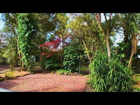 12 Berry Street, Traralgon, VIC 3844, 3房, 1浴, House