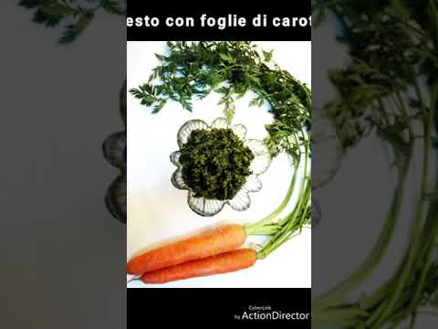 Trattamento delle fratture 5 vertebra cervicale Mal di schiena mensile