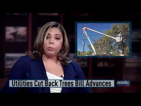 Utilities Bill Advances