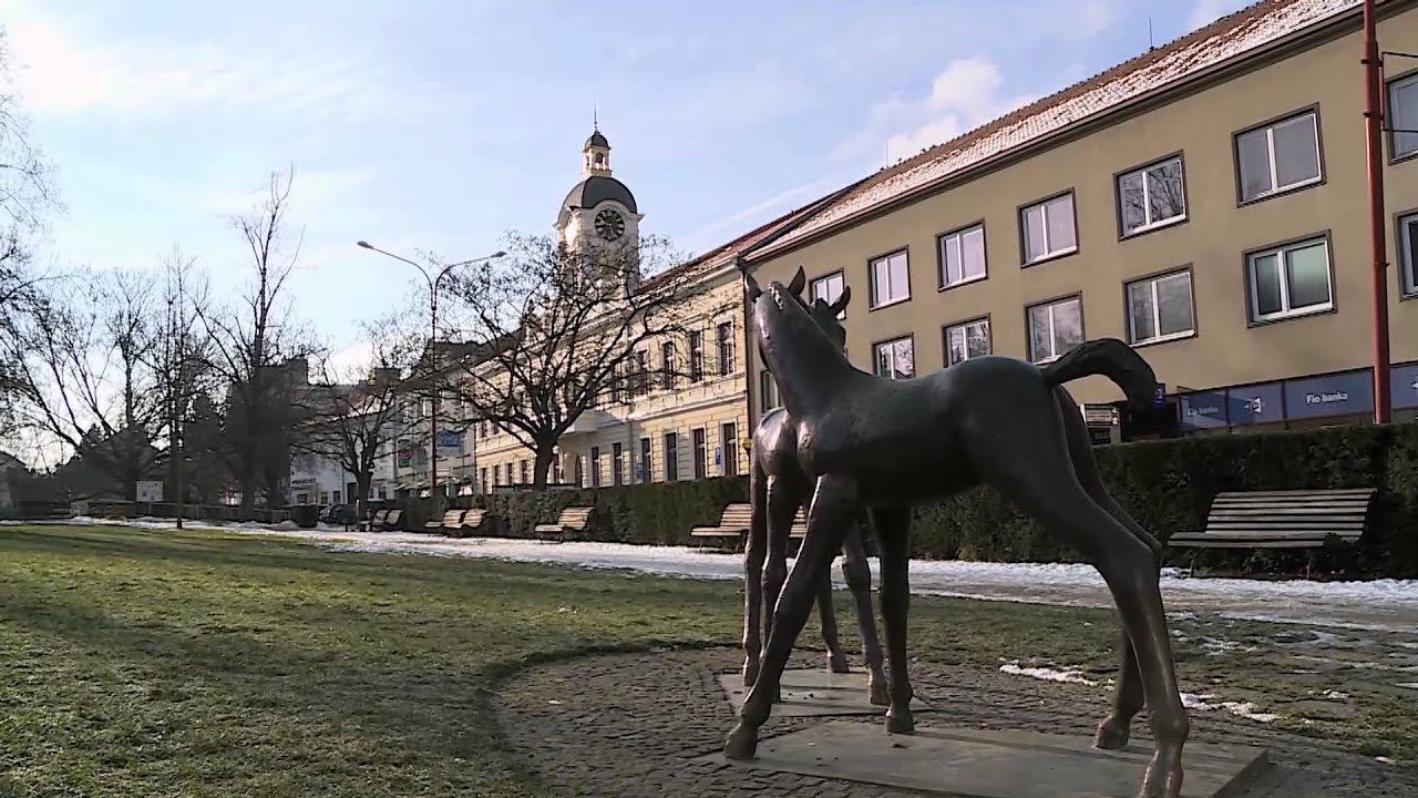 náhled z videa Okénko starosty