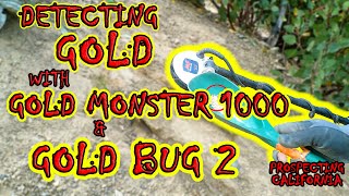 BEST DAY Detecting Gold with the Gold Bug 2 & Gold Monster 1000 !