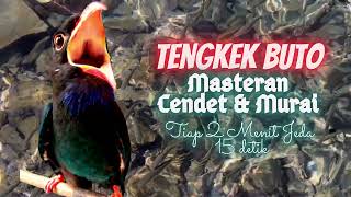 Download lagu Tengkek Buto Durasi 15 Menit Jeda 10 - 15 Detik || Masteran Cendet, Murai, Kolibri, Kacer.. mp3 Download lagu Tengkek Buto Durasi 15 Menit Jeda 10 - 15 Detik || Masteran Cendet, Murai, Kolibri, Kacer.. mp3
