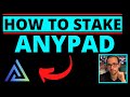 HOW TO STAKE YOUR TOKENS ON ANYPAD