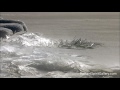 Hromadění ledu na Lake Superior (Wondrej) - Známka: 1, váha: malá