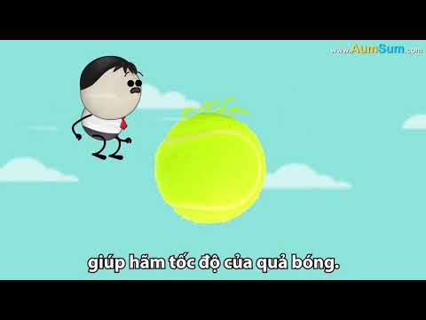 Lý do bóng tennis có bề mặt xù lông màu vàng xanh