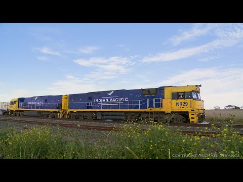 Indian Pacific Locomotives Leading 6MP4 TOLL Container Train - PoathTV Australian Railways