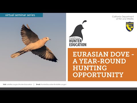AHE 2022 - Webinar #24 - Eurasian Dove -  A Year Round Hunting Opportunity