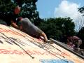 July 18 2010 2 Down And Dirty Mud Run Philadelphia