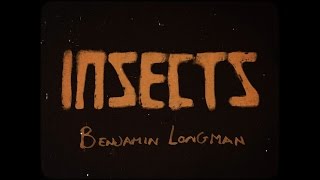Insects Music Video