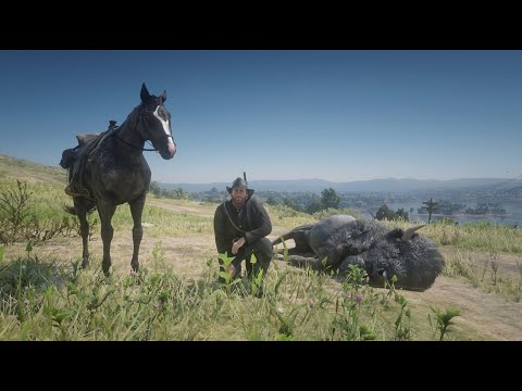 Red Dead Redemption 2 Too Much Activity Glitch Explained. Kinda.