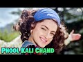 Phool Kali Chand Sitare Mamta Kulkarni Atul Agnihotri Udit Narayan Sadhana Sargam Krantiveer