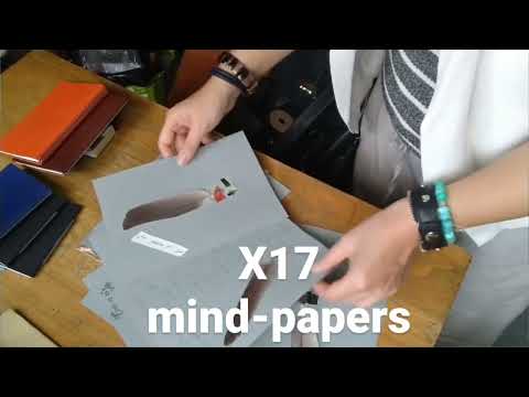 [X17] MIND-PAPERS _size A5 - multiple collection