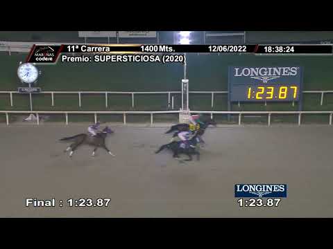 220612 c11 APACHE CAT (BRZ)