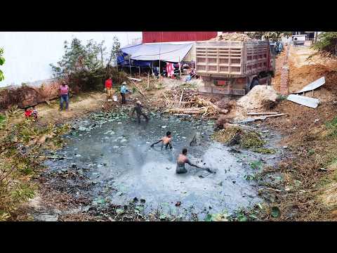 First Start New PROJECT!! Landfill Delete Useless Deep Fish Pond Use D21A Bulldozer & 5Ton Truck.