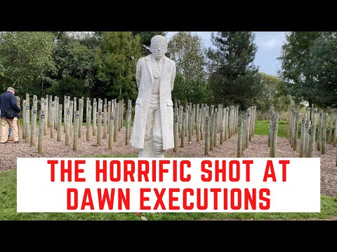 The HORRIFIC 'Shot At Dawn' Executions