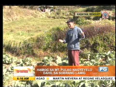 download lagu mp3 mp4 Mt Pulag Weather, download lagu Mt Pulag Weather gratis, unduh video klip Mt Pulag Weather