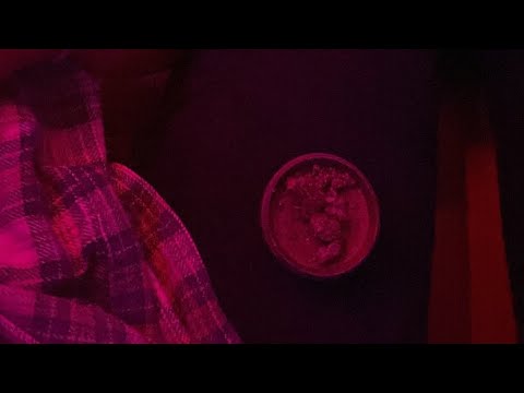 Unreleased XOLITXO AT RAW GANG SHOW #xolitxo #playboicarti #rapviet #underground