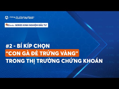 #2 – BÍ KÍP CHỌN “CON GÀ ĐẺ TRỨNG VÀNG” TRONG THỊ TRƯỜNG CHỨNG KHOÁN