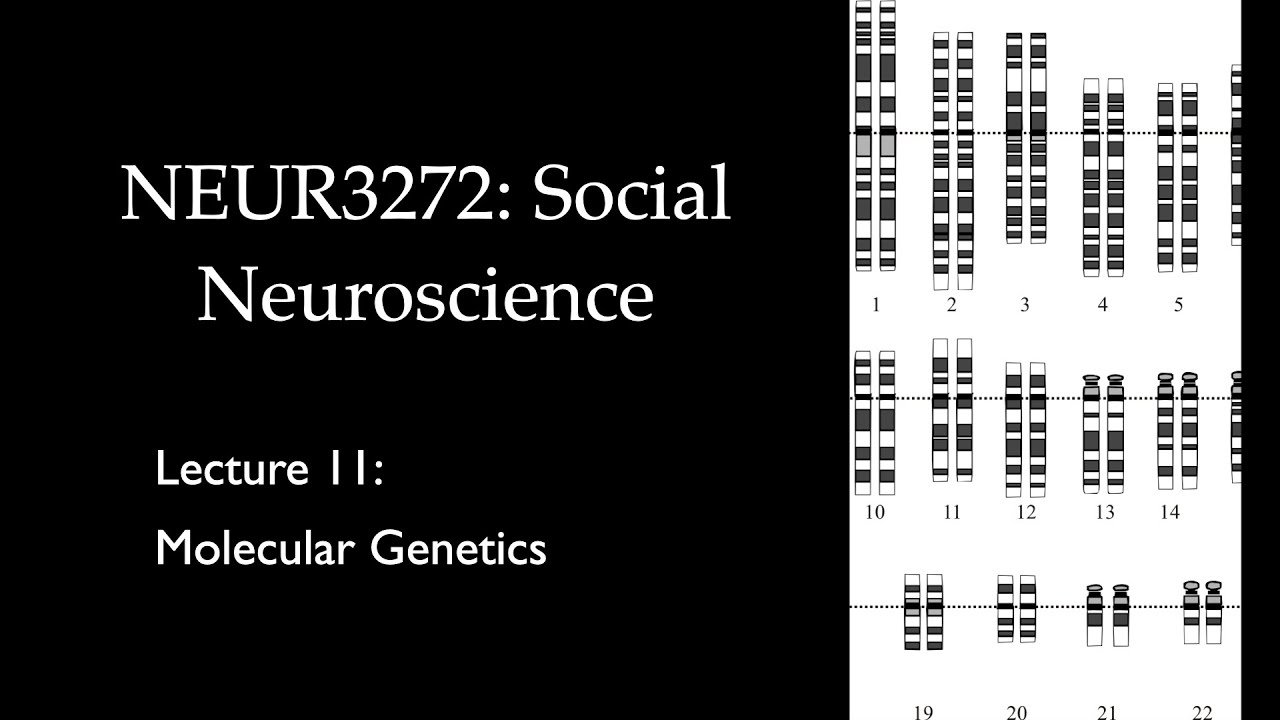 Lecture 11 Molecular Genetics