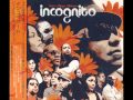 Incognito - Raise