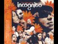 Incognito - Raise 