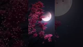 Download lagu malem stabil untuk menatap keindahan bulan purnama 🙌#indah #indonesia #shorts #malemodel mp3