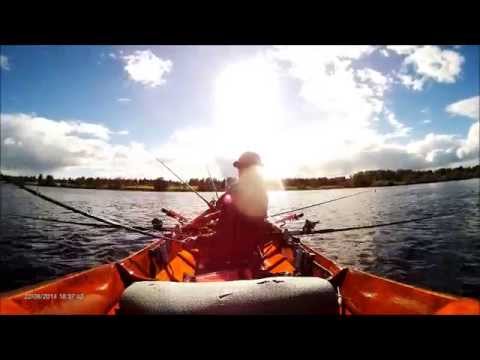 Tornionjoki. Johan se lohi pysyi kiinni siiman nokassa.