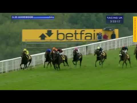 Afsare wins the 2013 Celebration Mile at Goodwood