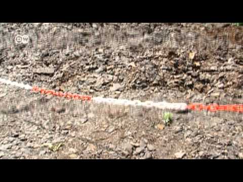 Grube Messel in 60 Sec | UNESCO Welterbe