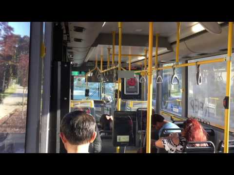 Transperth TP1800 - Mercedes-Benz O405NH CNG (ZF)[1]