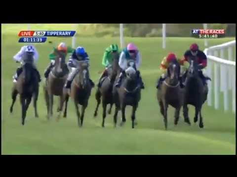 Coolmore Stud Fairy Bridge Stakes (Group 3) - 8/27/15