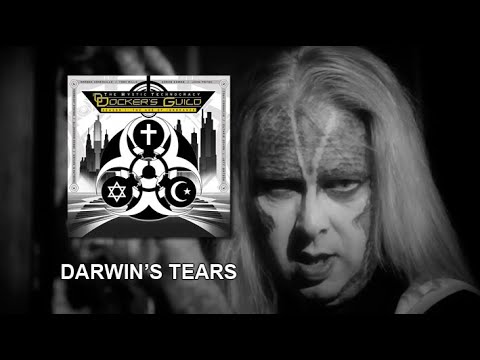 Docker's Guild - Darwin's Tears [Official Video]