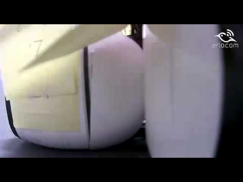 A video from my ARLO camera