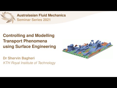 AFMS Webinar 2021 #6 - Dr Shervin Bagheri (KTH Royal Institute of Technology)