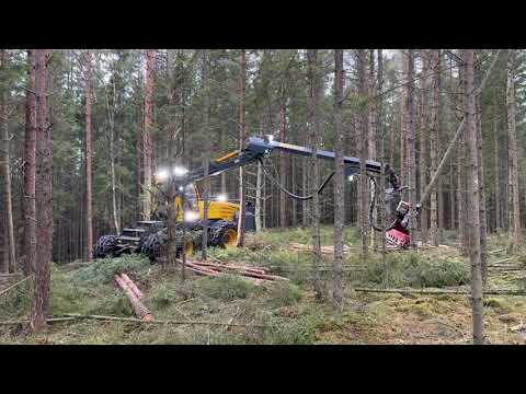 Videoklipp