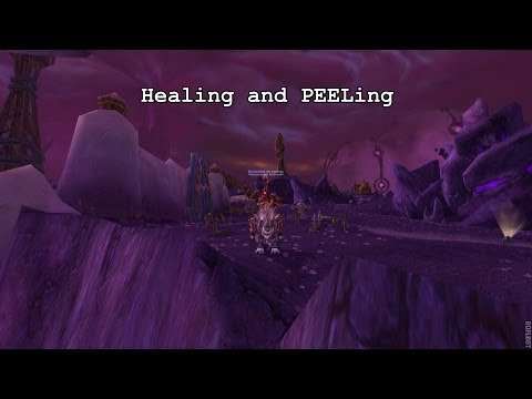 Restoration Shaman and Frost Death Knight Arena Match