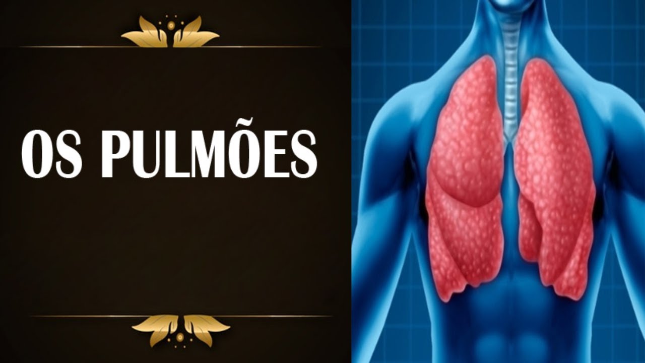Os pulmões Resuminho Educacional Enfermagem