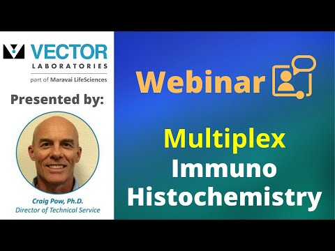 Multiplex Immunohistochemistry: Expand Your Insights, Improve Your Results