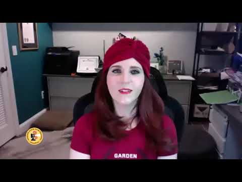 GSFF 2021_Collier Youth Services An Overview_Interview