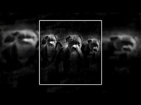 Santana Baddass x Lil Jackson x Yung Nutty (T$C) - "3 Pits" (FWYA Exclusive - Official Audio)