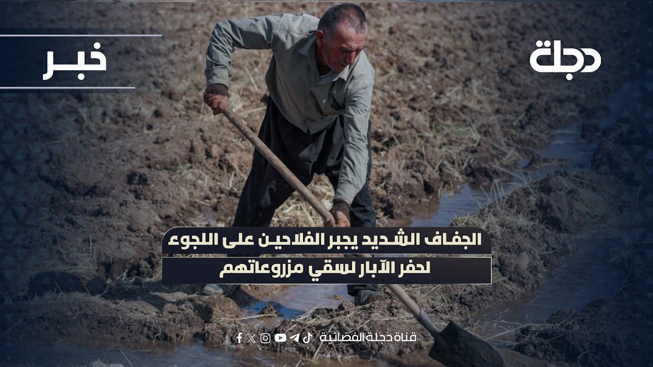 فيديو | الجفاف الشديد يجبر الفلاحين على اللجوء لحفر الآبار لسقي مزروعاتهم