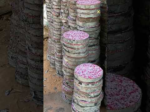 10000 Wala Cracker Making process, Firework Factory #crackersfactory #diwali #crackersshopinsivakasi