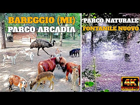 Bareggio (Mi) ⛲️ FONTANILI & Parco Arcadia 🦚 Lombardia in 4K