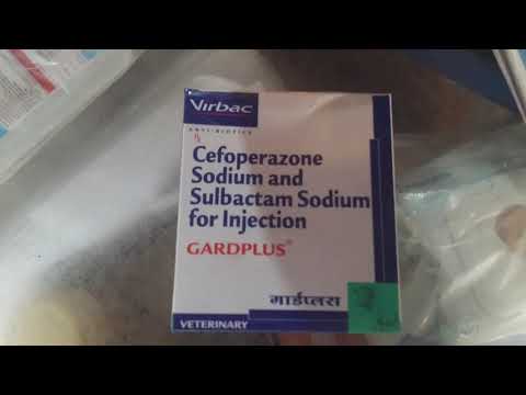 Magnex cefoperazone sulbactam injection 2 gm