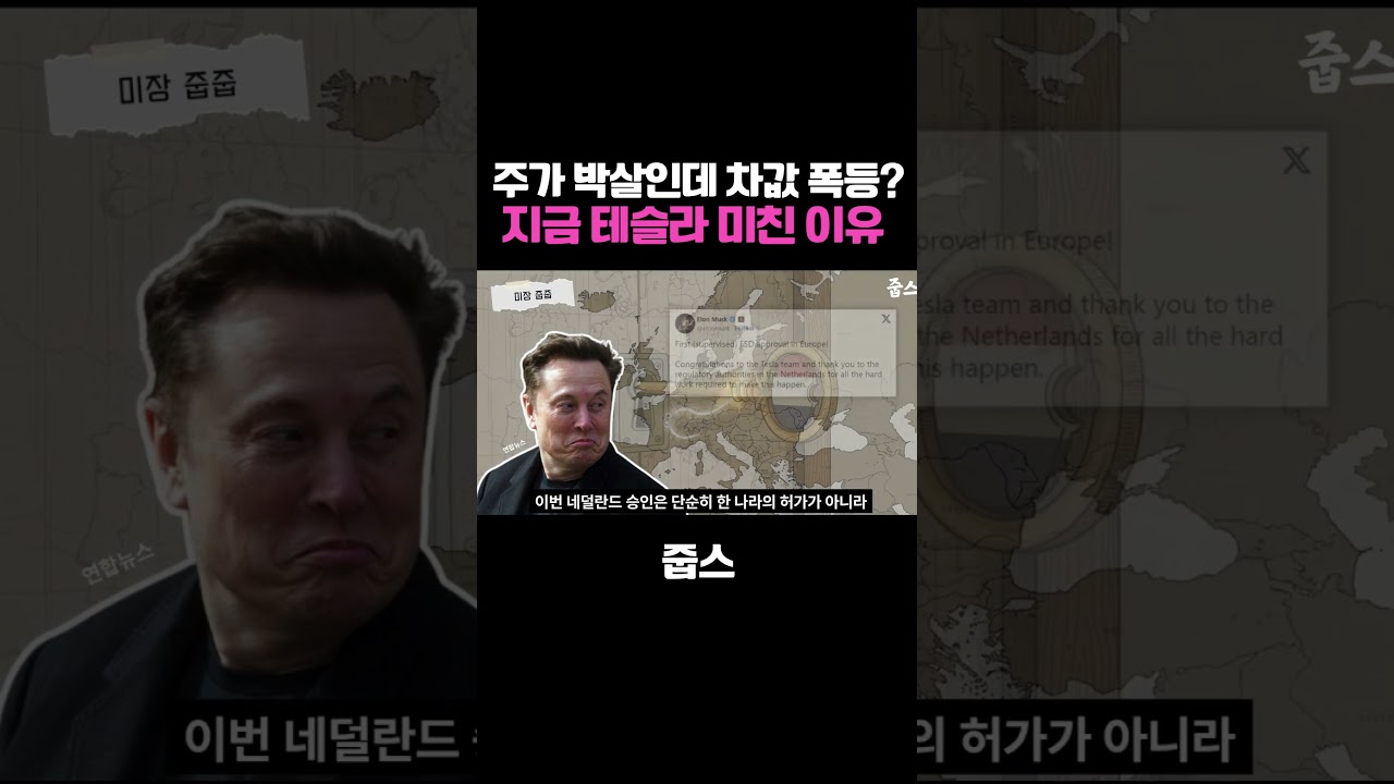 주가 박살인데 차값 폭등? 지금 테슬라 미친 이유