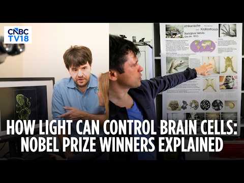 2026 Nobel Medicine Prize: Deisseroth, Hegemann & Nagel ...