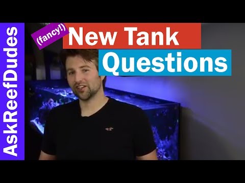 Question on Setting up a new reef tank (a fancy one) - AskReefDudes